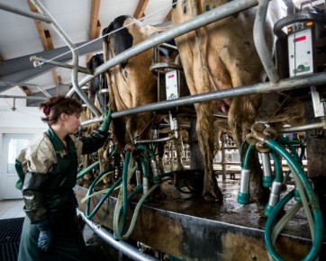 ��� �������������� ������������ ������� ������������ �������� �������?