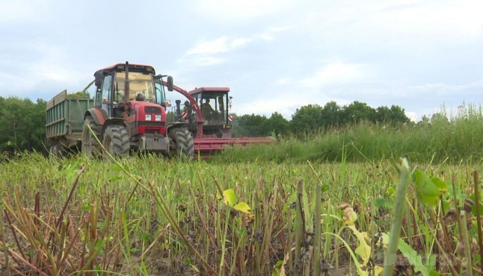 � ����������� ���� ���������� �������� ������� ������ �������������� ������