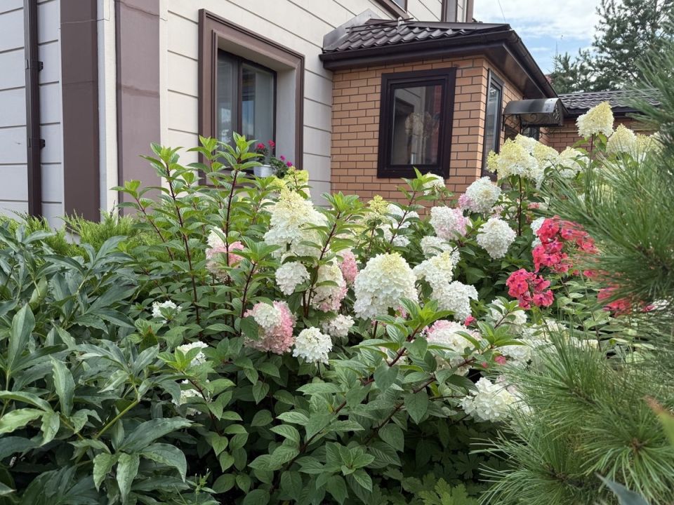 ��� ��������� ������� ��������� � ������: ������� ����� � �����������