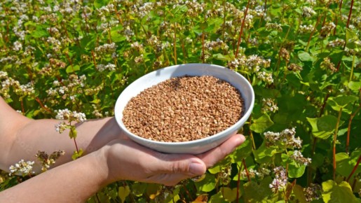 ��������� ���������: ��� ������ � ������� ����� �������� ���� ������