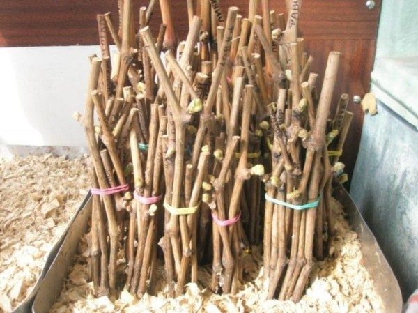 �������� ���������: ������� ��������� �������� � ����� ����� ����