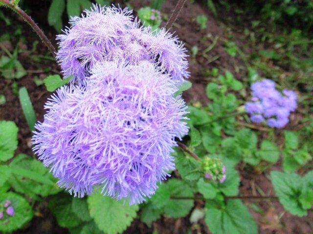 �������� ������� ���������: ����������� ����� � ��������� ������������� � �� ������������ ��������