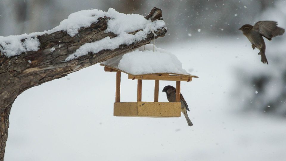 �������������� � ����� �� ��������� ���� ���������� ����������