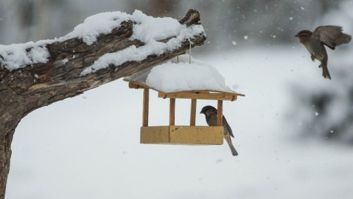 �������������� � ����� �� ��������� ���� ���������� ����������