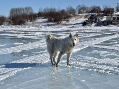 ������ � ����������� ���� ���������