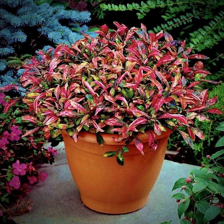 �������������: ������� ����� �� ����� ��������� ���������