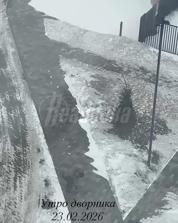 ��������� ����������� � �������� ����� ����� �������� ����� � ���������� ����� ������ �����, � ��������� ������������� �����