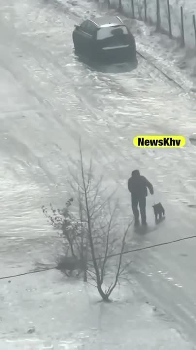 �������� � ������: ������, ������� � ���� ���������