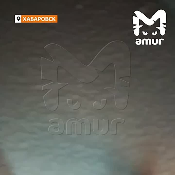 ������� ����� ������� ����������� � ����������. ������� ���������� ����������