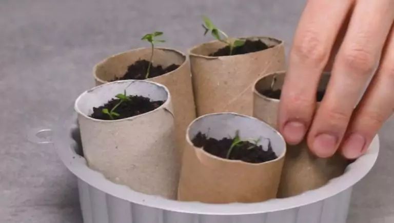 ������ ������� ������� ������� �� ����������� ������ �� ��������� ������