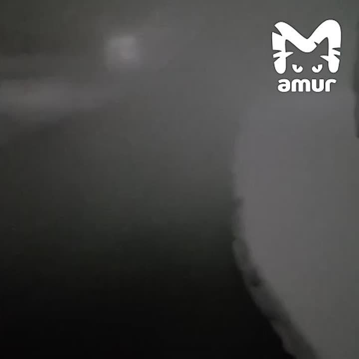 ������ ����� �������� ��� ��������� � ������� ���� ��-�� ���������� ������ � ����������