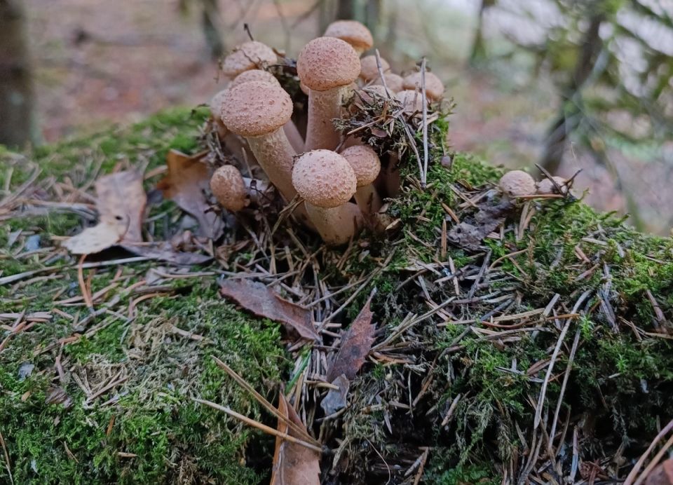 ����� � ����: ��������� ������ ��� ��������