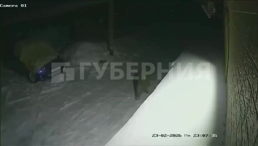 ���� ���������� �� ����� ��� ����������� ������� ������� ������ ��������������� � ��� ���������� ������� ����� � ��� �� ����� ������������ ����� ��������. ������� � ����� ����� �����������, ��� �������� ��� ������� ��� �...