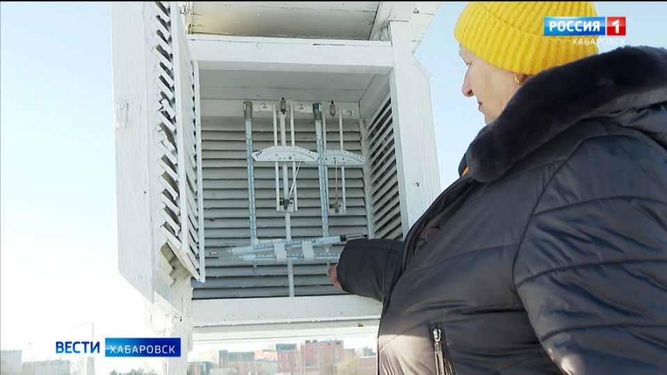 ���� ����� ����� � �����������: ��������� ���������� ���� ������� �� ��������� ������