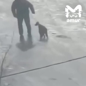 ������� �����, ��������� ����� � �������� ��������� �� ����� ������������ ����