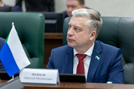 Парламентарии Дальнего Востока выступили за усиление контроля за использованием электросамокатов