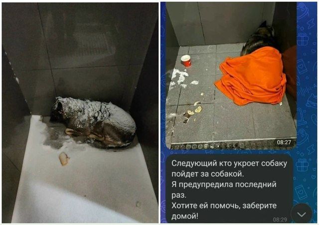 � ���������� ������ �������� ������, ������� ��������� �������� �������