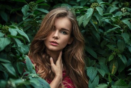 ��� �� ��������� ���������: �������� �� ���� � ��������