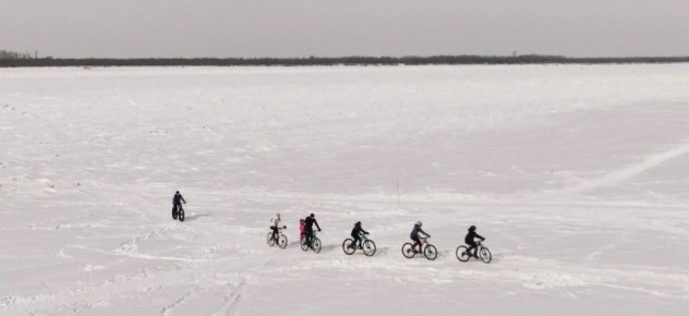 ������ � ����������� ���� ���������