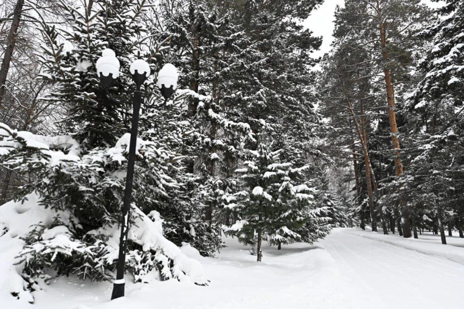 ��� ���� �������� ������������ ��������� � ���� 26 �������