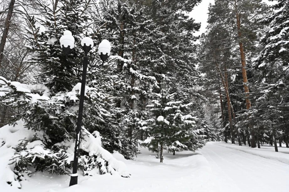 Еще один снегопад прогнозируют синоптики в крае 26 февраля