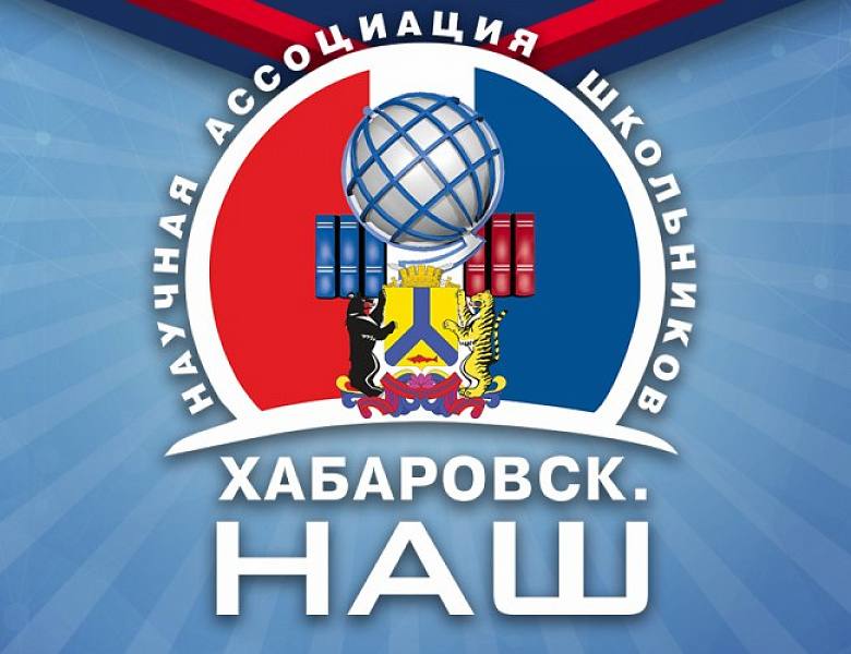 Стартовал конкурс социально-значимых проектов «Хабаровск.НАШ»