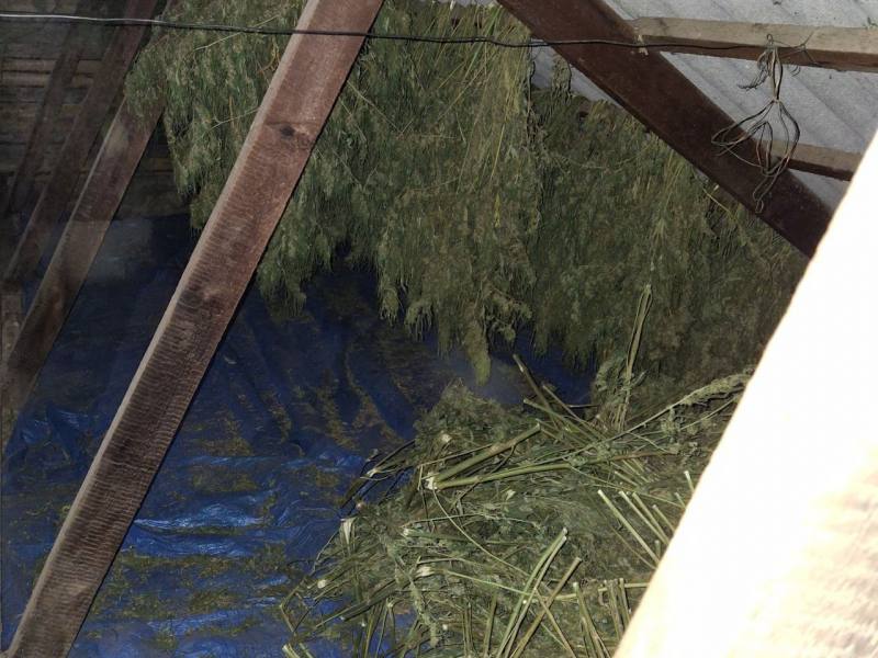 В Амурске полицейские изъяли из незаконного оборота более 11 килограммов растительных наркотиков В Амурске полицейские изъяли из незаконного оборота более 11 килограммов растительных наркотиков