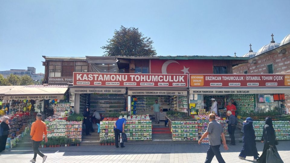 ���� �� ������ � ������� ������ � ������: �������� �� ��������� ��� ��������?