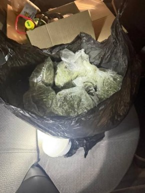 В Амурске полицейские изъяли из незаконного оборота более 11 килограммов растительных наркотиков