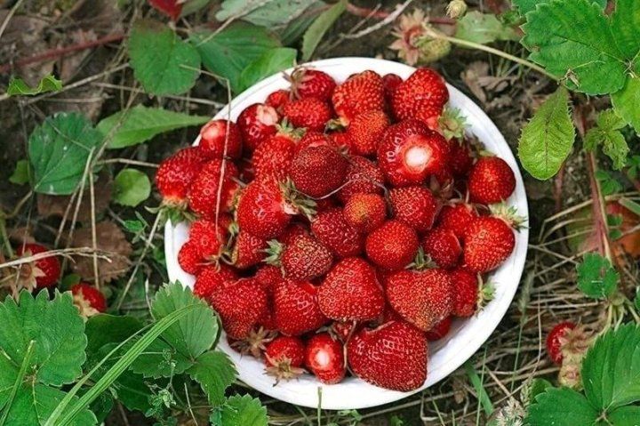 ��� ��������� ��������� �� ��������� � ������� ��� �������� ������