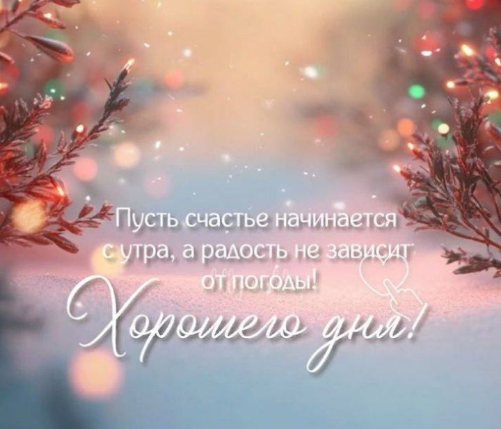 ������ ����, ���������!. 26 �������