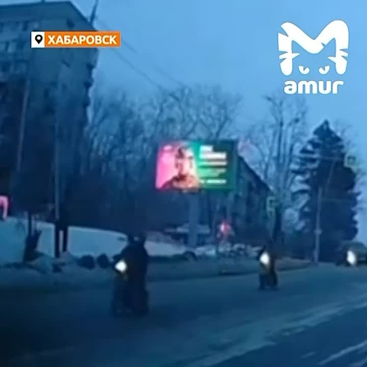 Подростки на скутерах гоняют по заснеженным дорогам Хабаровска