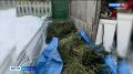 Большую партию растительных наркотиков обнаружила полиция у пожилого жителя поселка Эльбан
