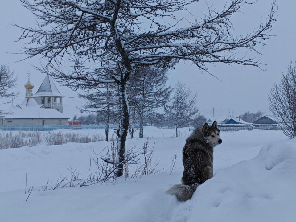 ������ � ����������� ���� ���������