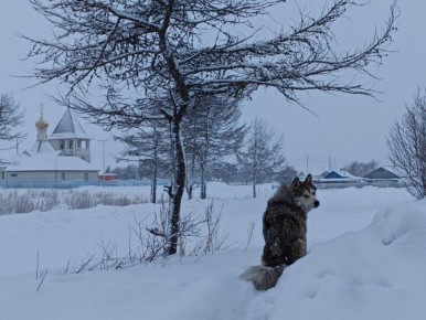 ������ � ����������� ���� ���������