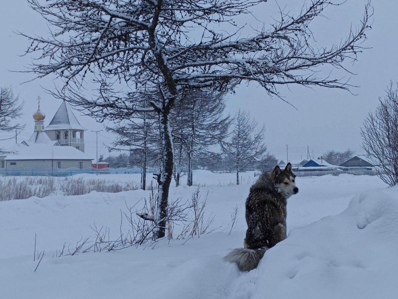 Погода в Хабаровском крае Хабаровск