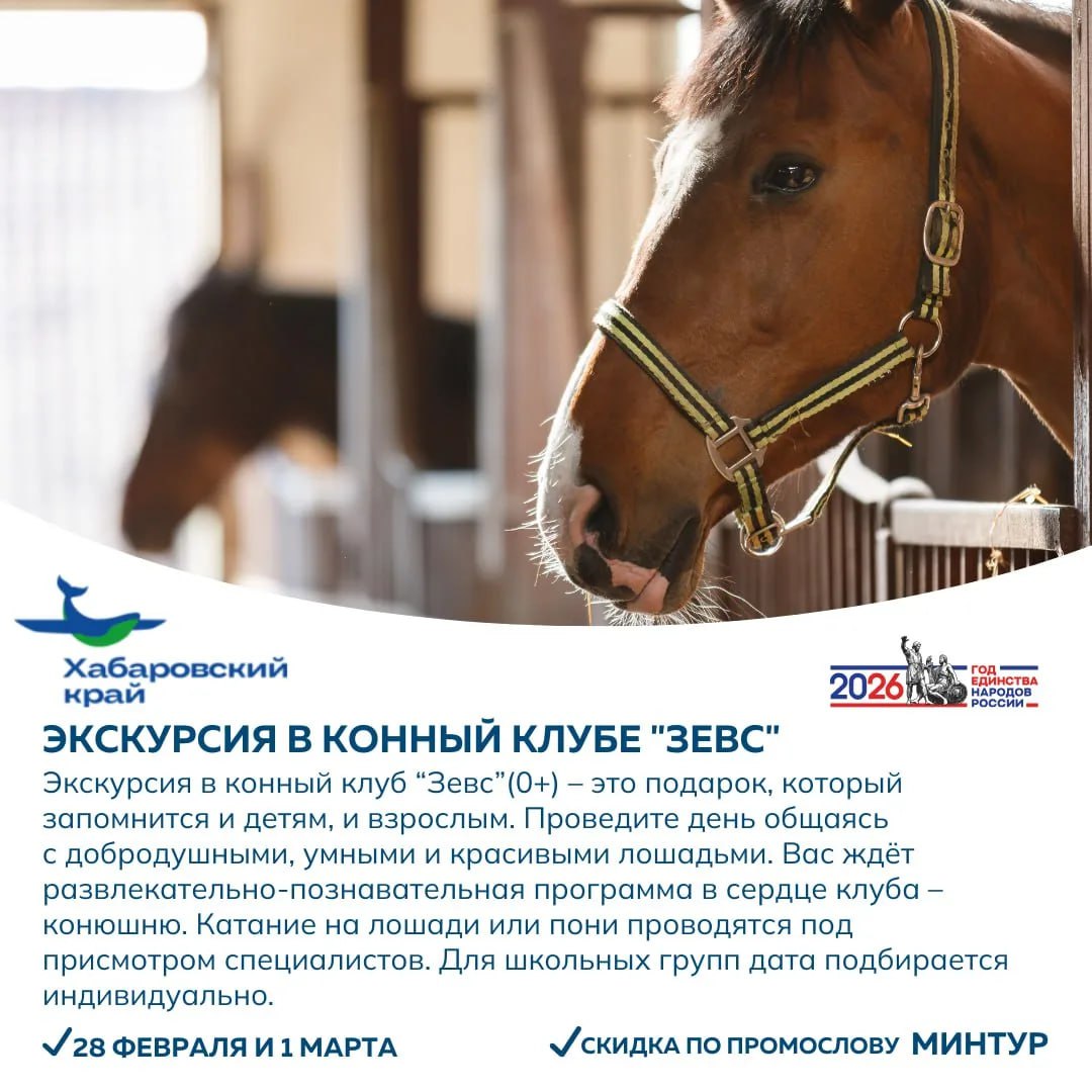 Увлекательно проводить зиму и встретить весну предлагают жителям и гостям региона партнеры проекта «Отдыхаем в крае» Увлекательно проводить зиму и встретить весну предлагают жителям и гостям региона партнеры проекта «Отдыхаем в крае»