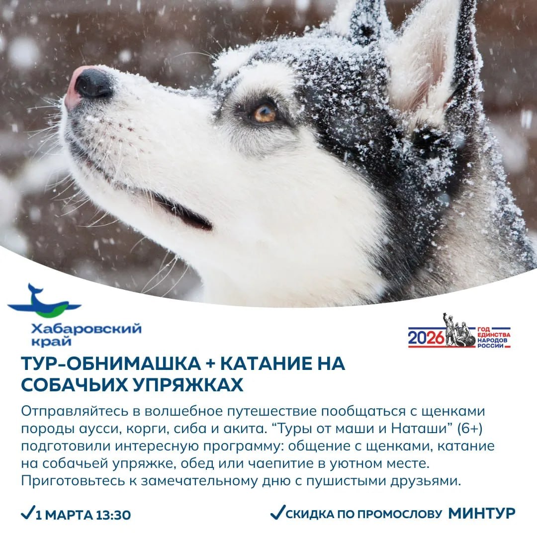 Увлекательно проводить зиму и встретить весну предлагают жителям и гостям региона партнеры проекта «Отдыхаем в крае» Увлекательно проводить зиму и встретить весну предлагают жителям и гостям региона партнеры проекта «Отдыхаем в крае»