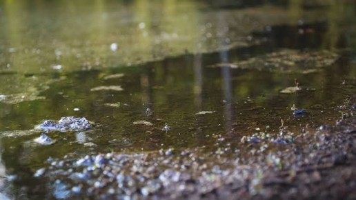 �������� ����� ������ � ���� ����� �� � ���������� ��������� ����