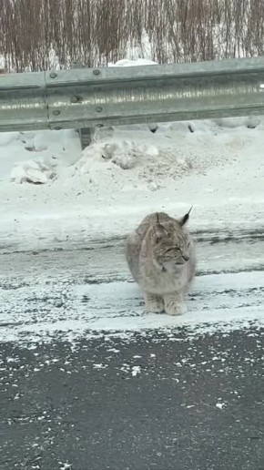 ����� ����������� �������� �� ������ ���������� � ������ � ������ ����� ����� �� ������� ������. ���� ������� ����� ����� � ������, � ���� �� ��� �������� ����� �� �������� �����