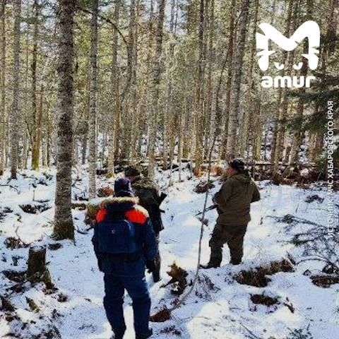 ������� ����� ���������� �������� � ����������� ����