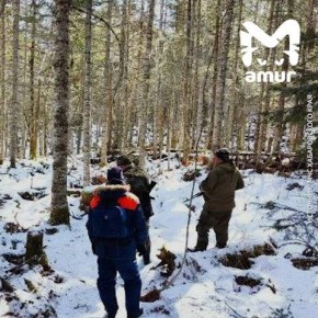 ������� ����� ���������� �������� � ����������� ����