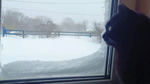 Погода в Хабаровском крае Хабаровск