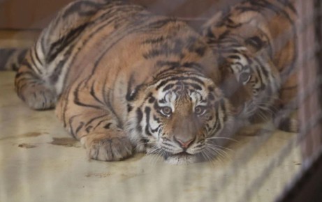 ����� � �����: �������� ����� �������� ���� ����� ��� � ������!