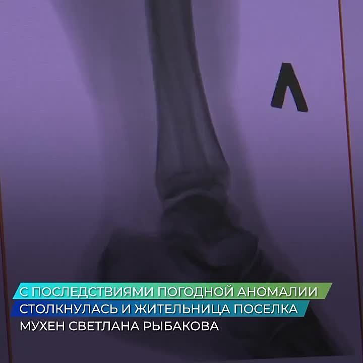 ������ 900 ������������ �� ������� ������� ������ ������������ ����