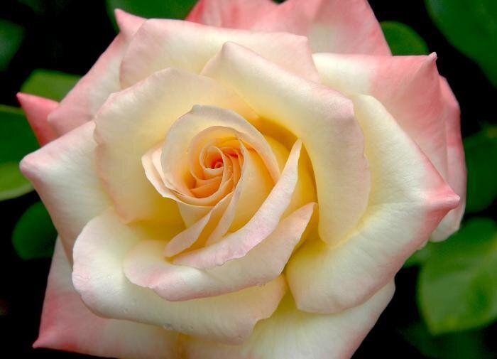 ����, ������� �������� ������������� ������� ������ ����