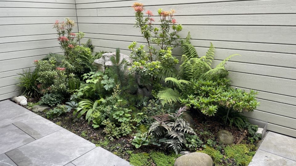 ������� ���, ������� ������ ������� ���