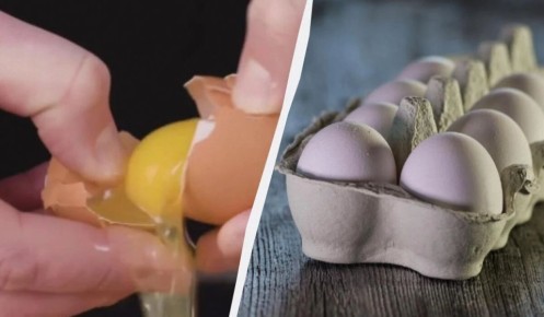 ��� ������� ���� ��� ������: ������ �� �������������