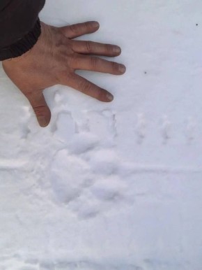 ����� ����� ������� ���������� � ����-������� ������