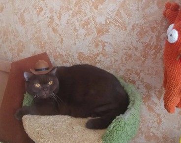 ������� � ������ ���������� ���� ����� � ����� � ����� ��������� ������� � ���� ��������� � ���������� ����� �����������